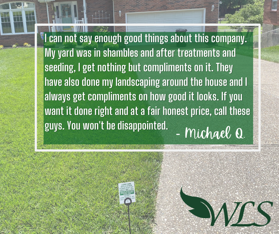 Review From Mike Q – Louisville, KY – Wayne's Lawn Service