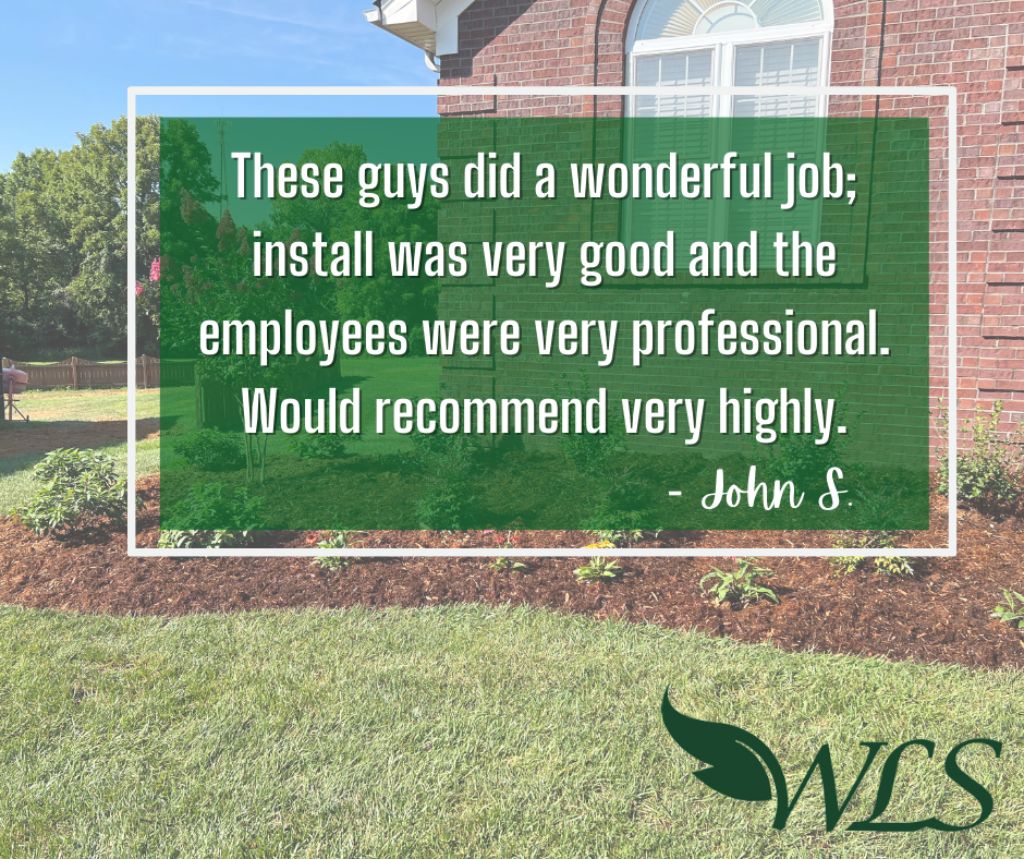 Review From John S – Louisville, KY – Wayne's Lawn Service