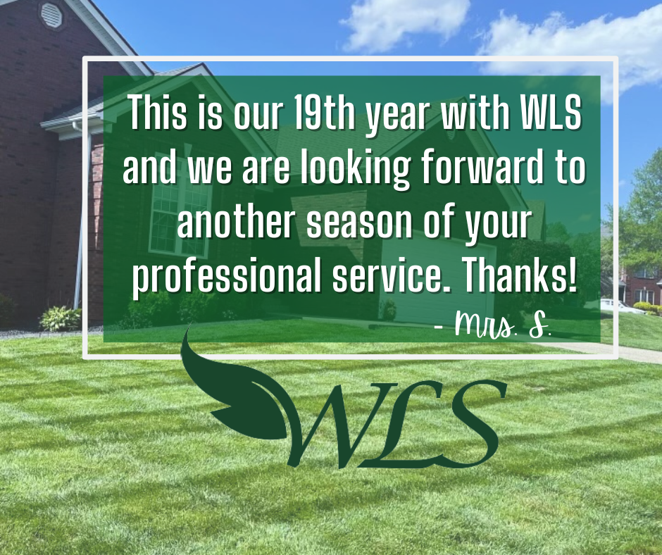 Review From Mrs. S – Louisville, KY – Wayne's Lawn Service