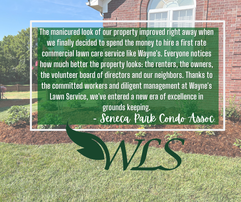 Review From Seneca Park – Louisville, KY – Wayne's Lawn Service