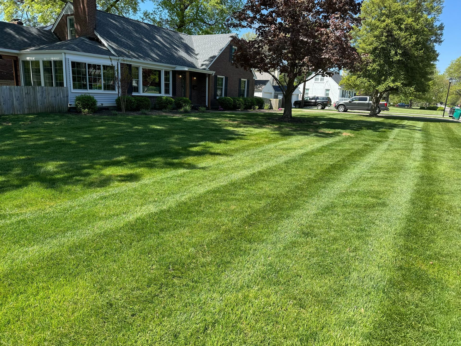 Green lawn freshly mowed with stripes, a house in the background. Sunny day.