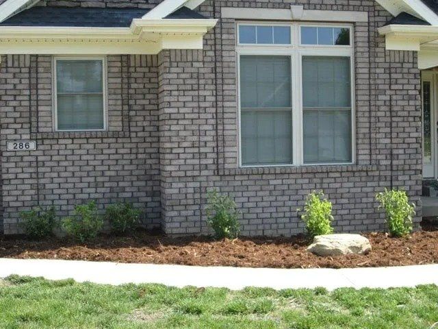 Brick house with a window and small landscaping on a bed of mulch.