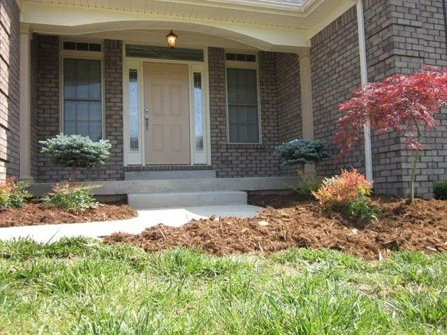 A brick house with a tan front door and a small landscaped yard. There are bushes, mulch, and a small tree.