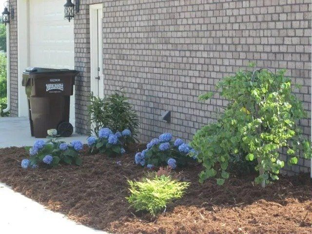 A landscaped garden bed with blue hydrangeas, green bushes, and brown mulch in front of a brick wall and garage door.