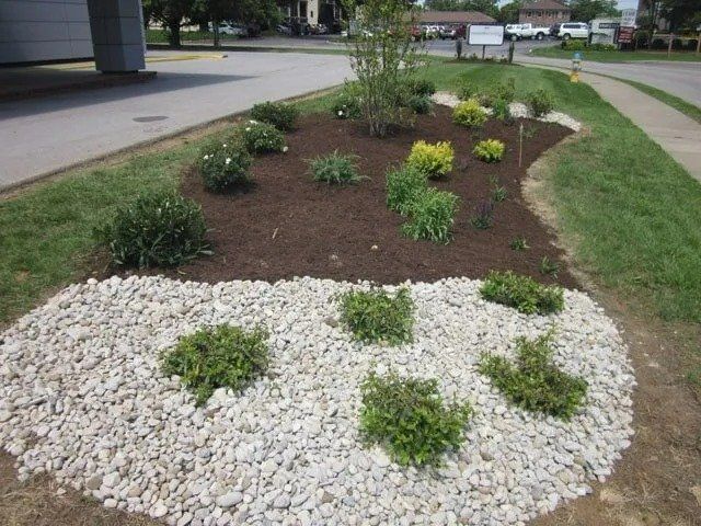 Landscaped garden bed with brown mulch and various green and yellow plants bordered by white stones.