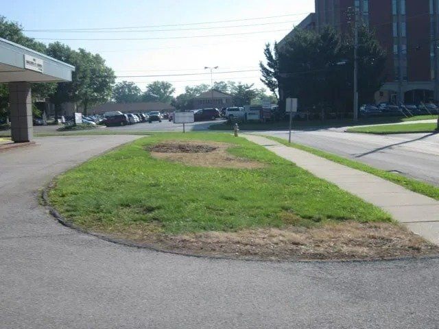 Grassy median with sidewalk and road, leading to a parking lot and building. Green grass shows some brown spots.