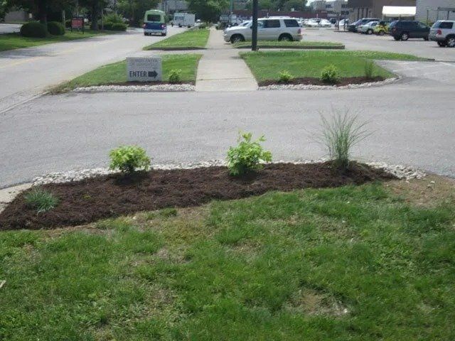 Landscaped median strip with plants, dark mulch, and a walkway in front of a street, with cars visible in the background.
