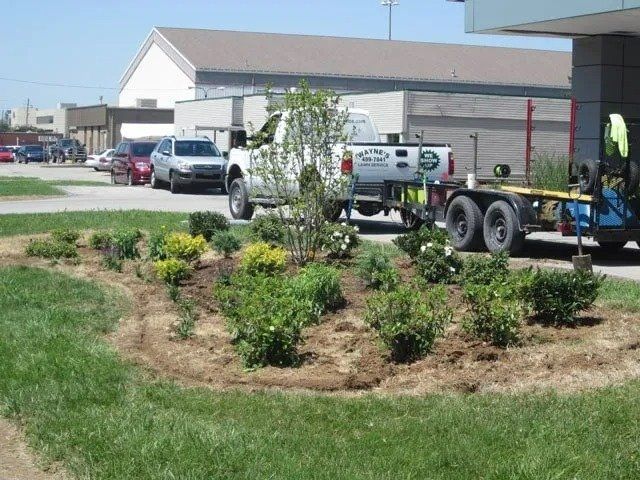 A landscaping project with a white truck and trailer next to a newly planted garden bed with various shrubs and plants.