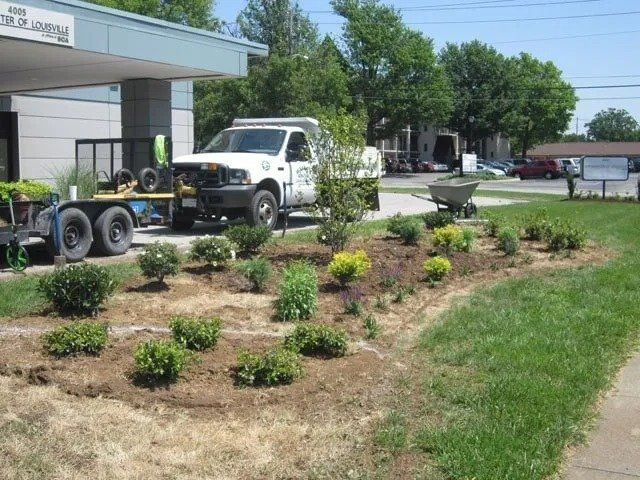 Landscapers planting new shrubs in a prepared bed next to a building; a truck, trailer, and wheelbarrow are nearby.