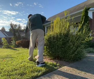 Person trimming bushes in front of a house on a sunny day. Green grass and blue sky are visible.