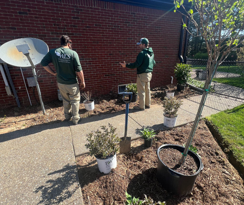 Two men are standing on a sidewalk next to potted plants and a satellite dish.