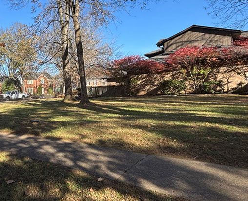 Grassy yard with trees and buildings under a blue sky, sunlight casts shadows.