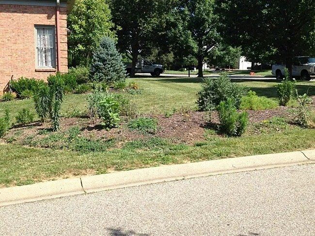A residential garden bed with various plants and mulch sits beside a curb and a brick house.