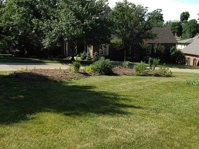 A brick house with a dark roof, trees, and a grassy front yard with a flowerbed.