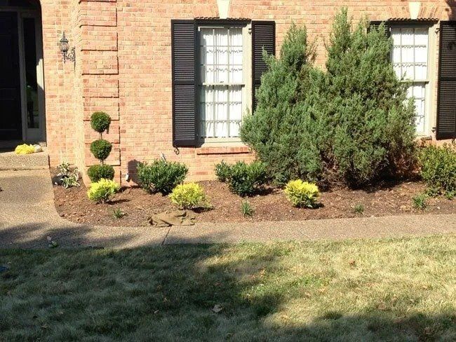 Brick house with black shutters and manicured landscaping, including a topiary and various green shrubs and bushes.