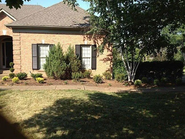 Brick house with black shutters and a landscaped yard with various shrubs, trees, and a grassy lawn.