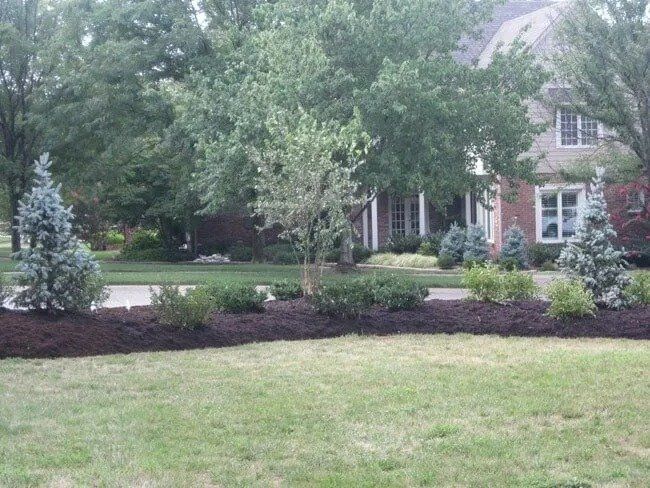 A suburban house with a well-manicured lawn and garden beds lined with dark mulch and various shrubs.