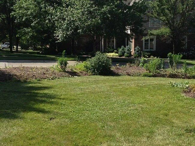 Green lawn in front of a house with a brown brick facade. A flower bed is in front of the house and next to the street.
