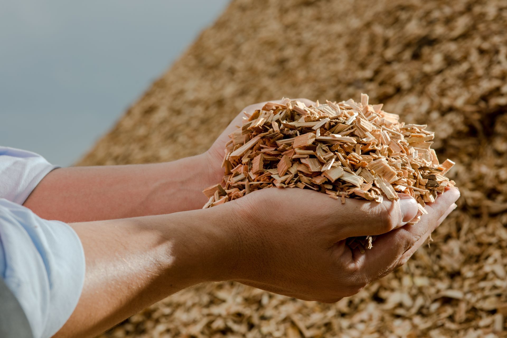 red silo shavings