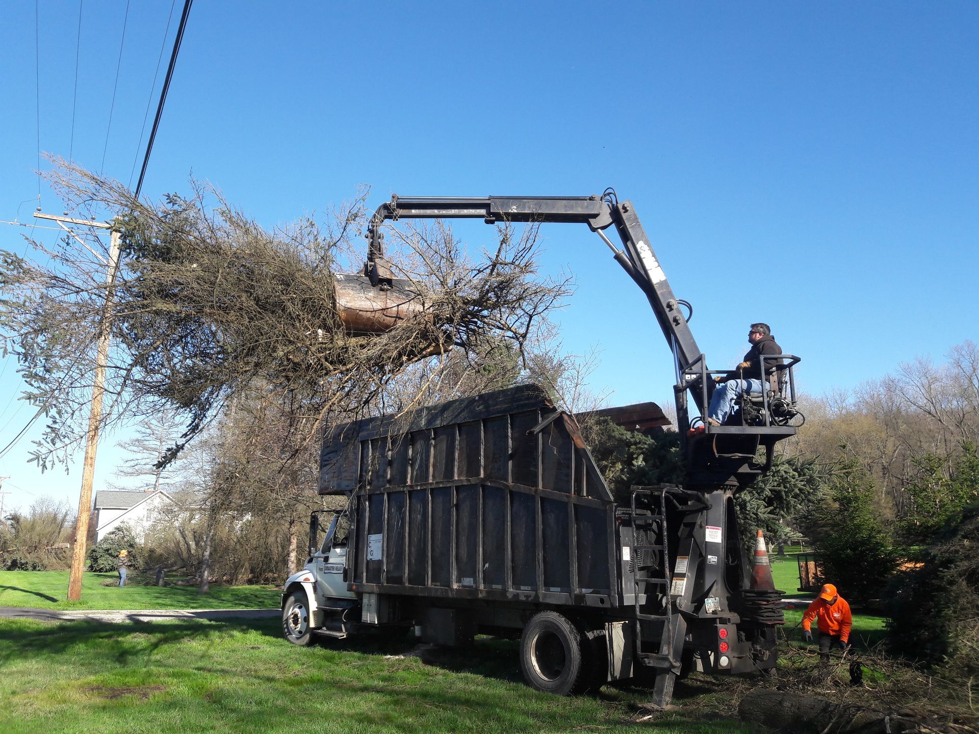 A truck with a crane attached to it is carrying a tree.