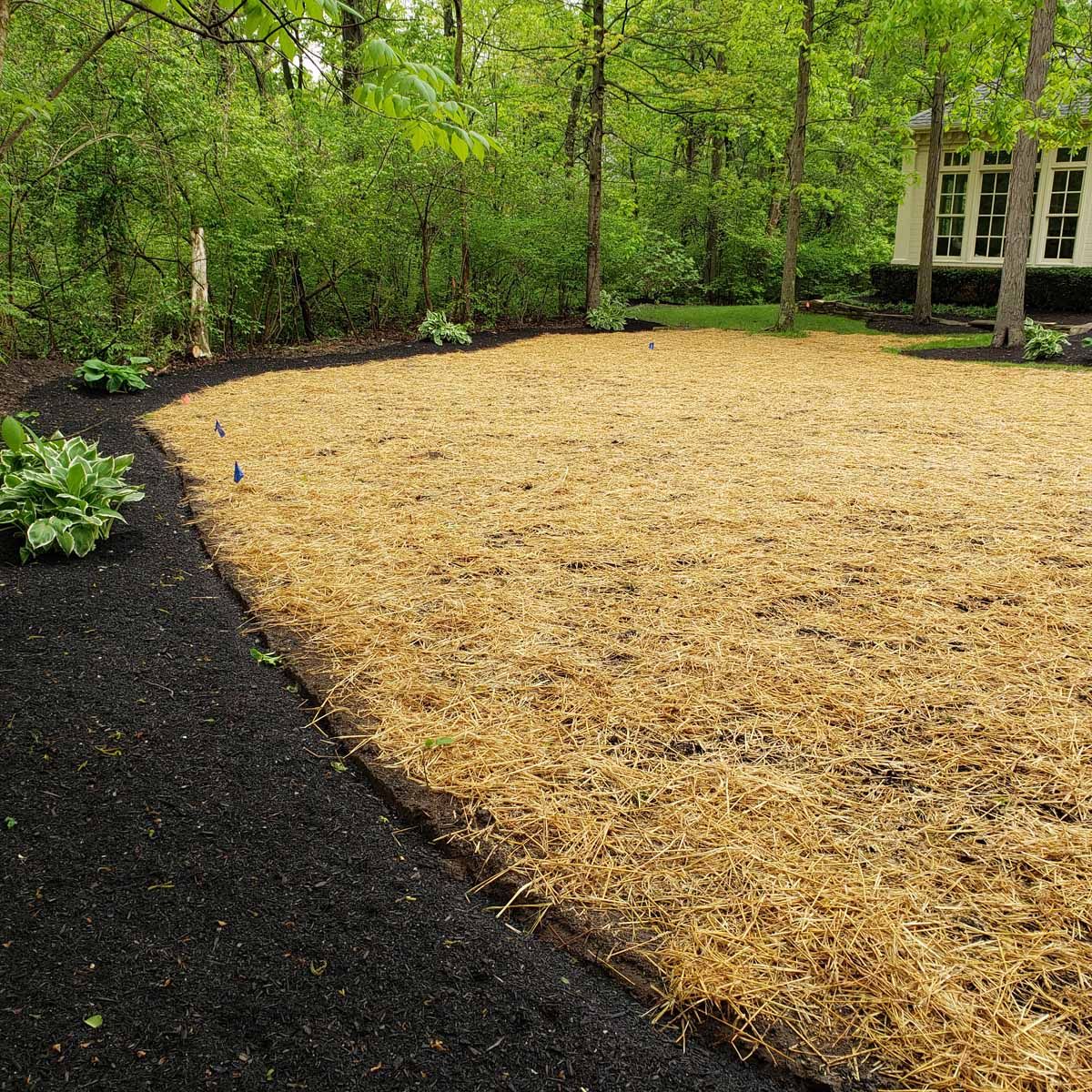 A large yard with a lot of mulch and trees in the background.