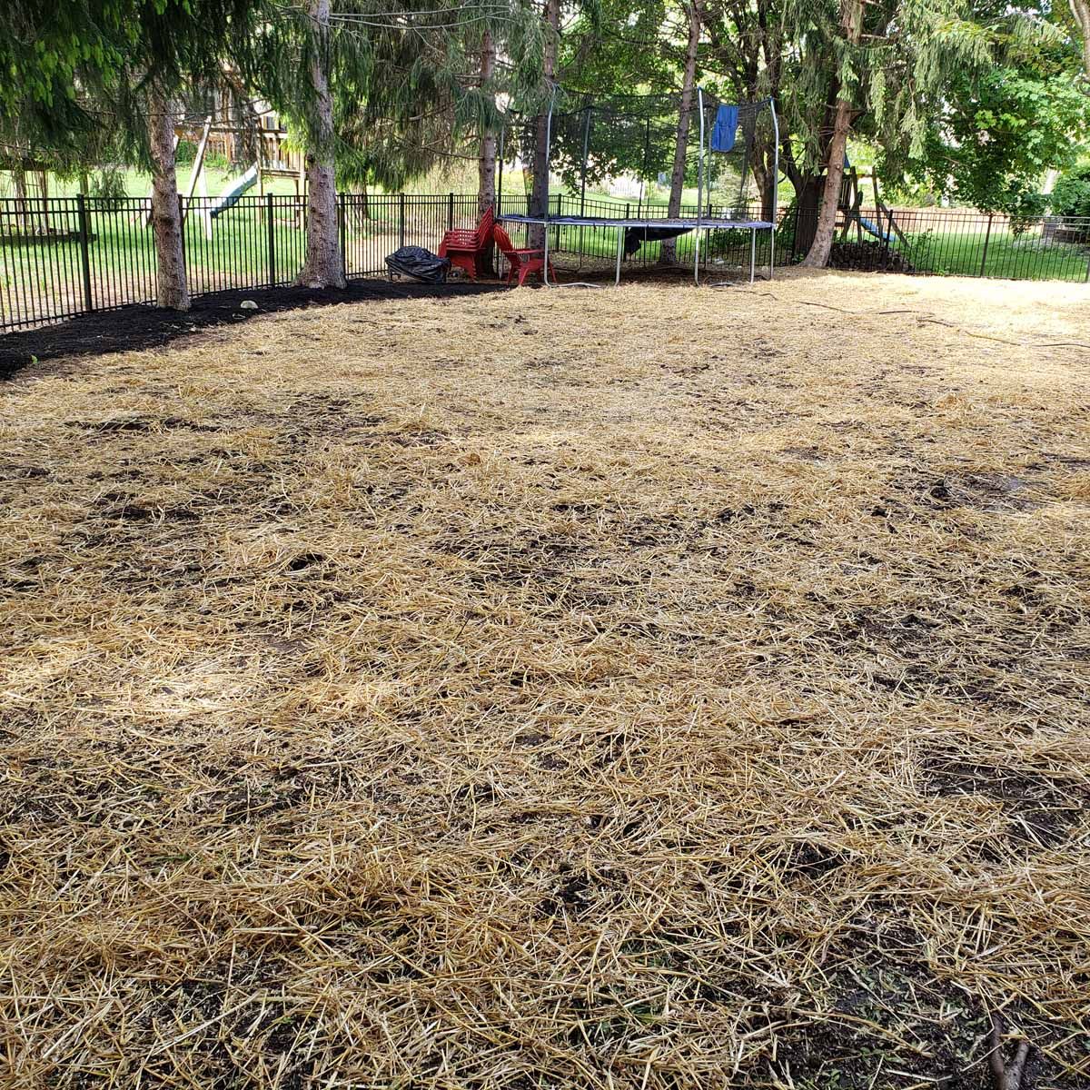 There is a playground in the background and a pile of hay in the foreground.