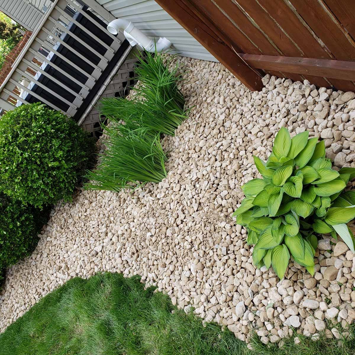A garden filled with rocks and plants next to a house.