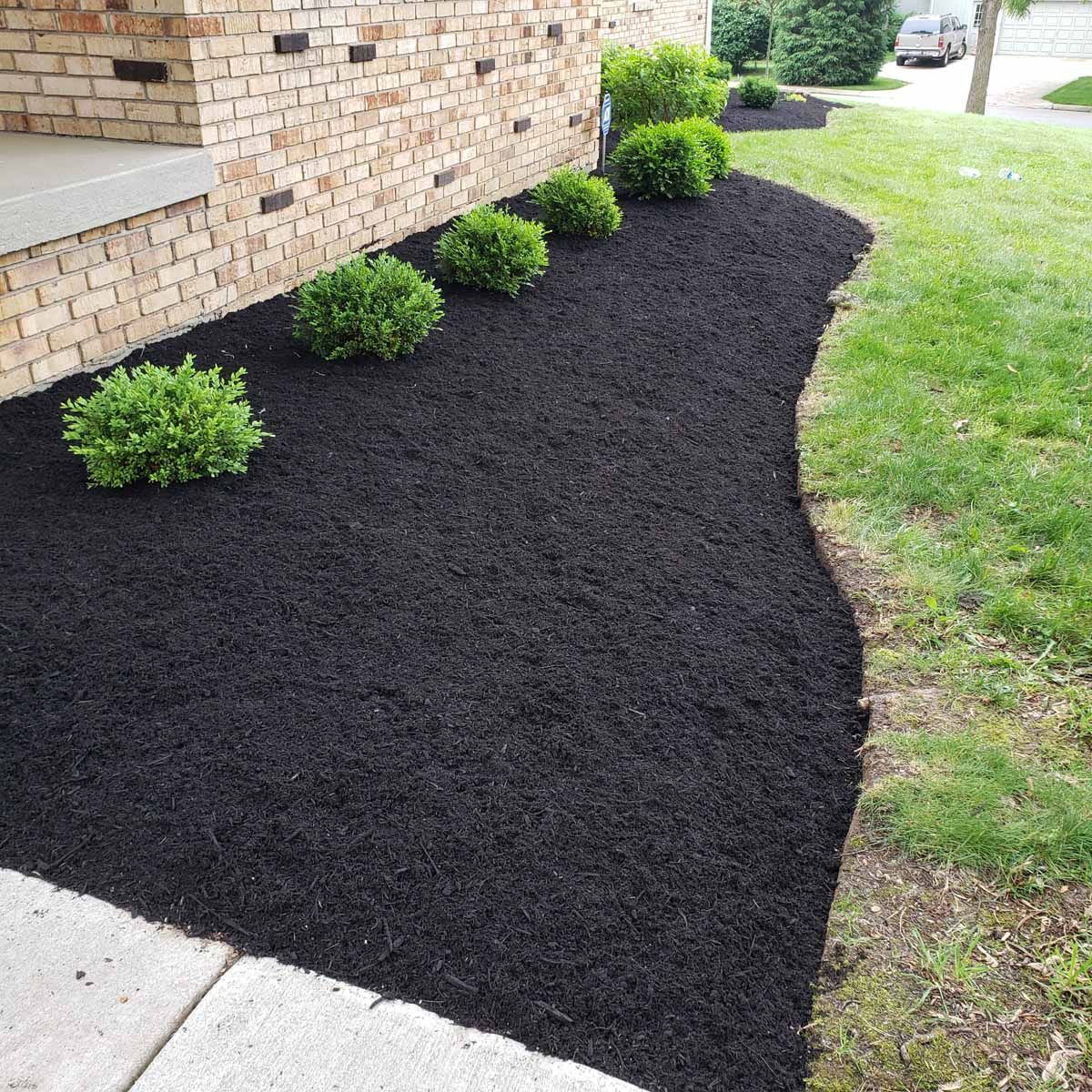 A brick building with black mulch and shrubs in front of it.