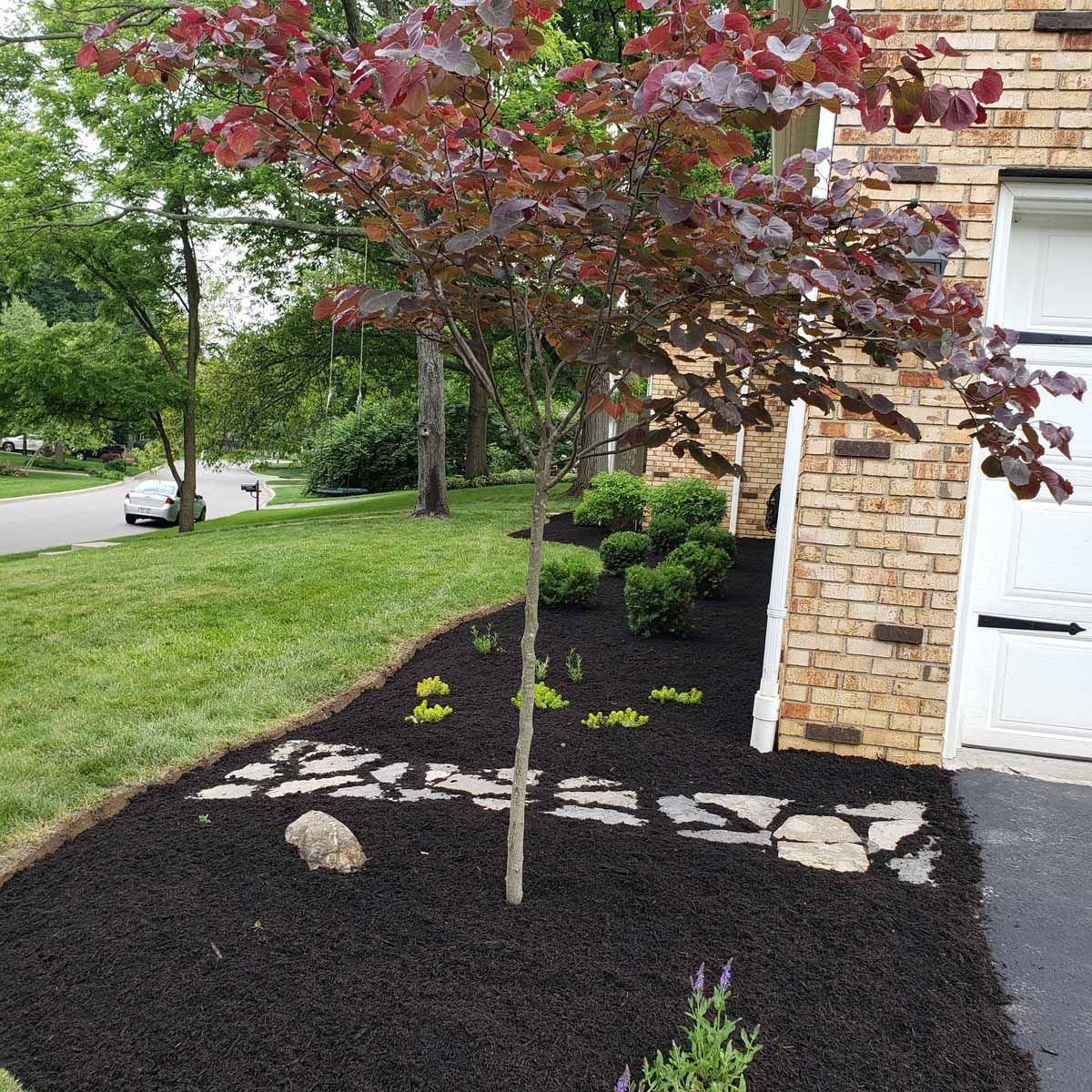 A tree with red leaves is sitting in front of a brick house.