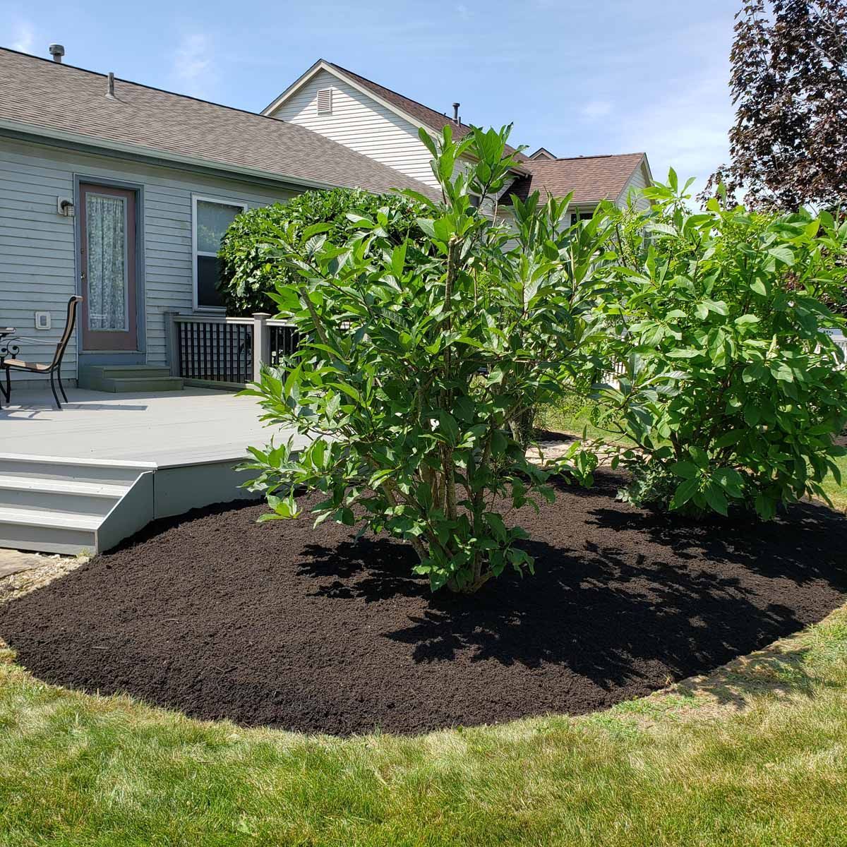 A house with a patio and a tree in front of it.