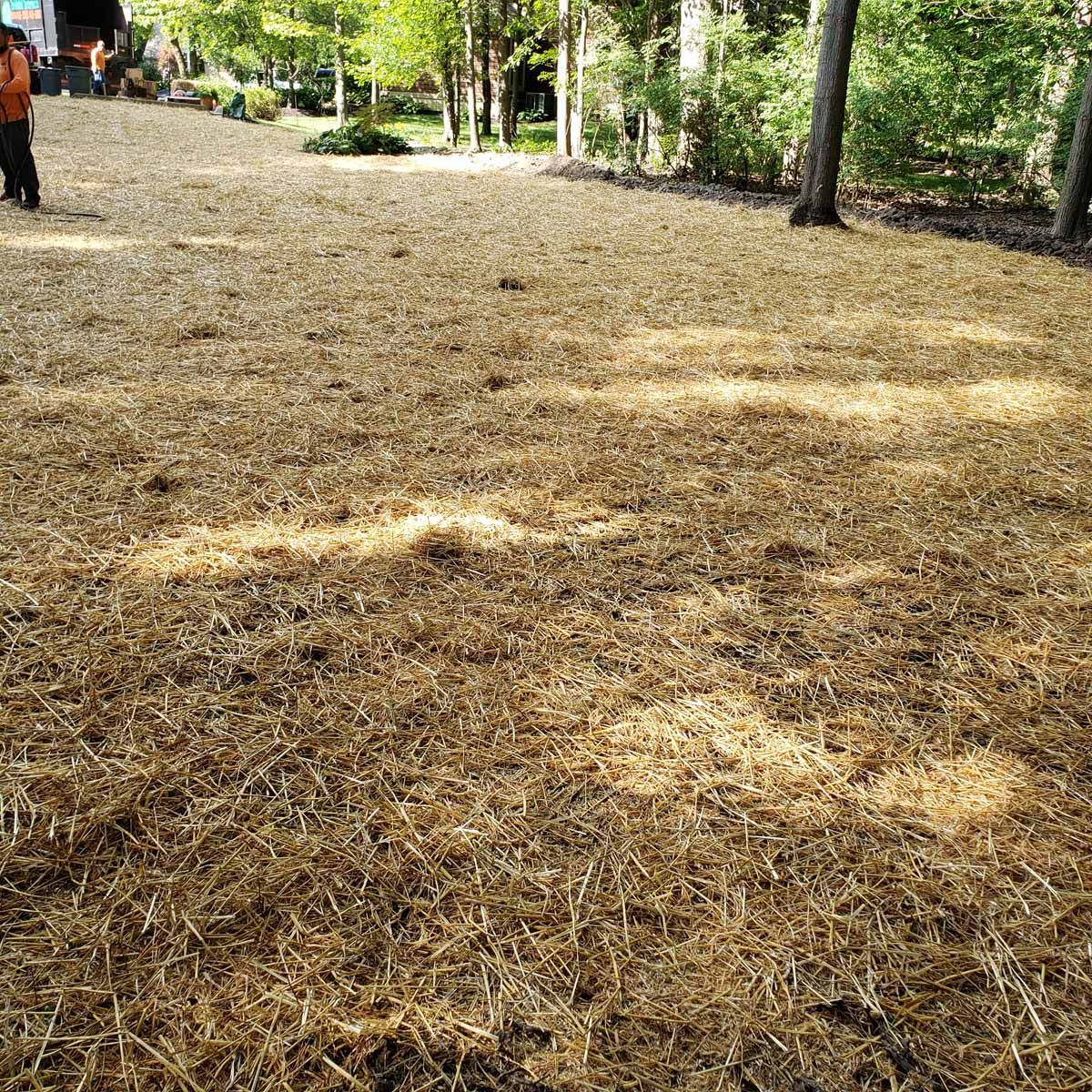 A person is standing in a field of dry grass.