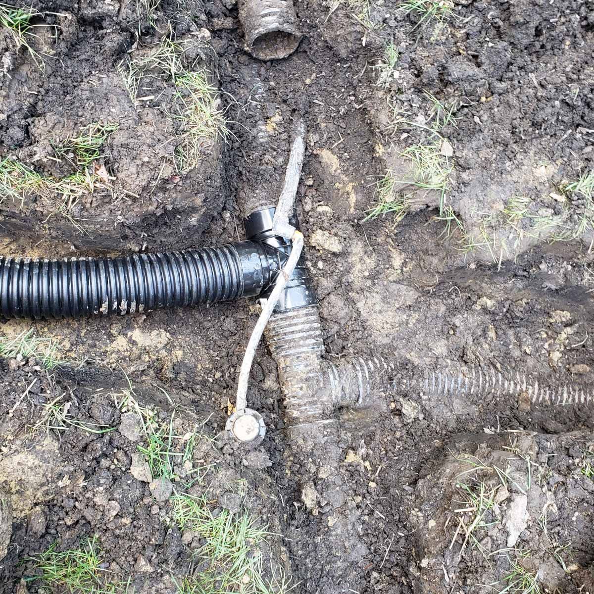 A black pipe is laying in the dirt next to a hose.