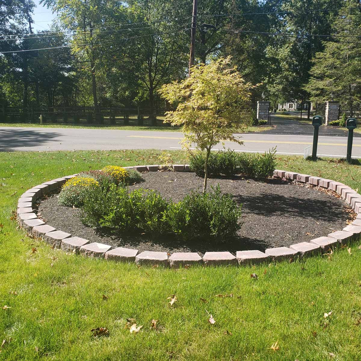 A circular garden with a tree in the middle of it.