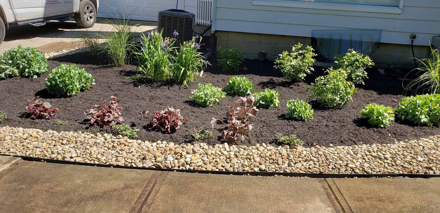 A lawn with lots of plants and rocks in front of a house.