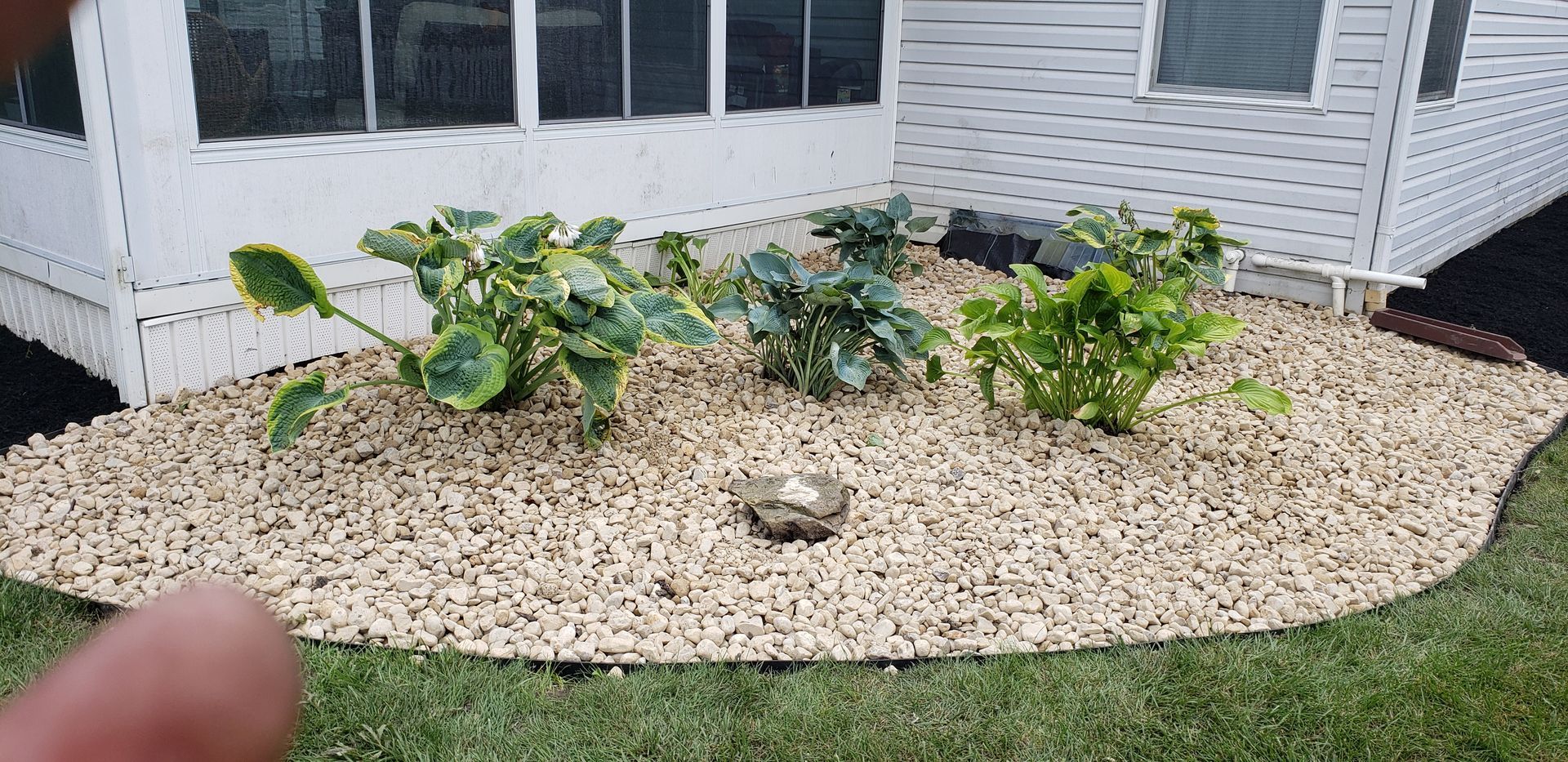 A person is pointing at a small garden in front of a house.