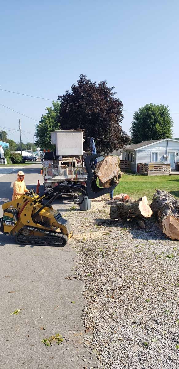 A stump grinder is being used to remove a tree stump from the ground.