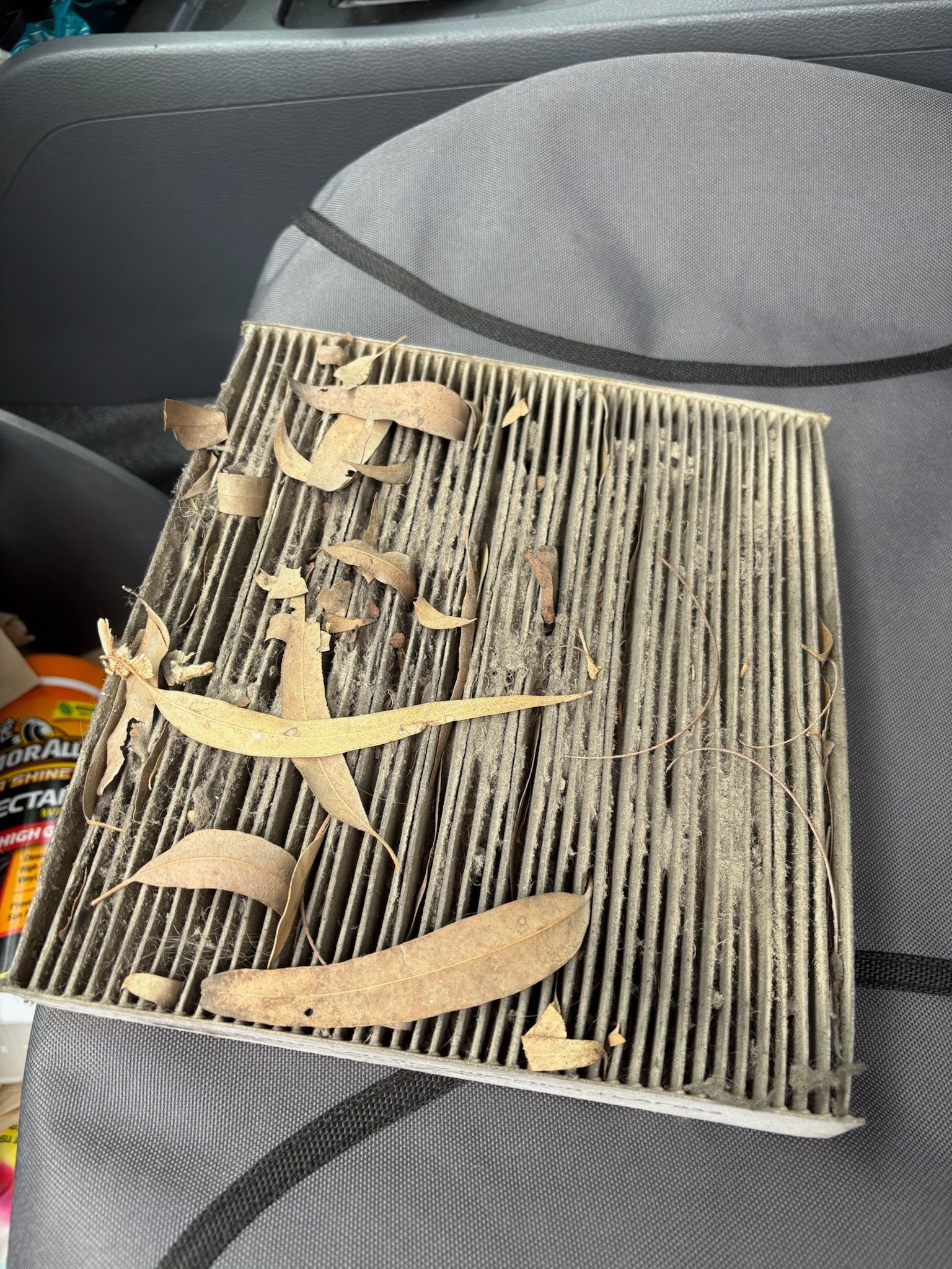 Dirty Car Cabin Air Filter With Leaves and Debris on It — Prime Mobile Mechanics in Nerang, QLD