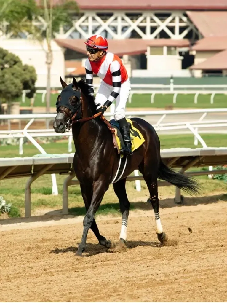 A jockey is riding a black horse on a dirt track