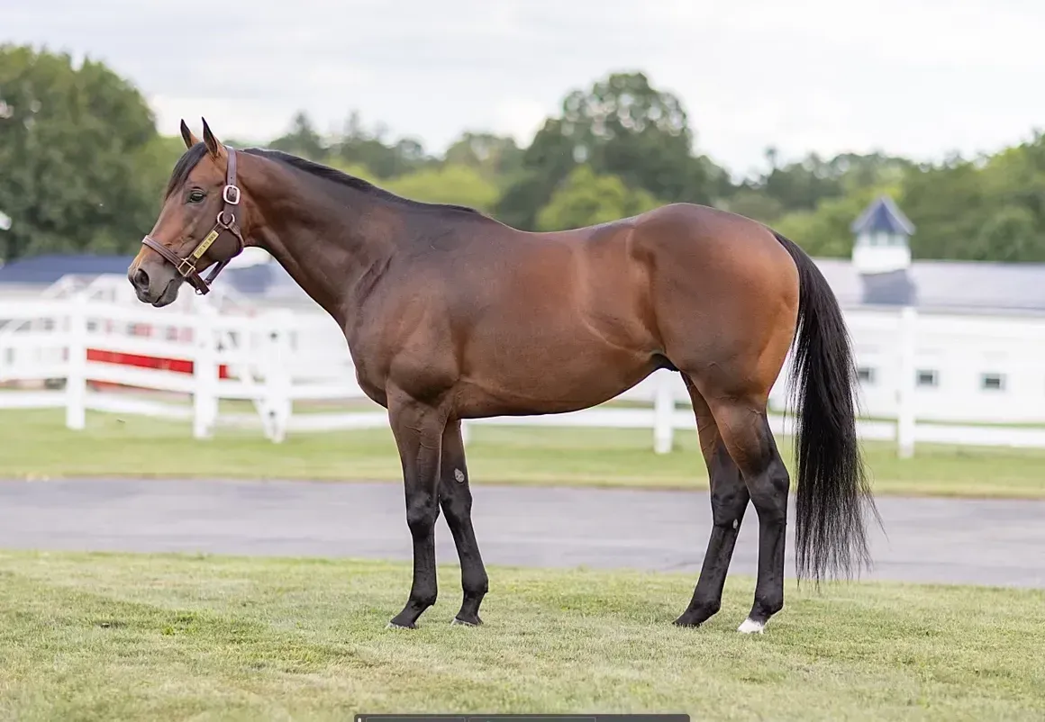 A brown horse is standing in a grassy field in front of a white fence.