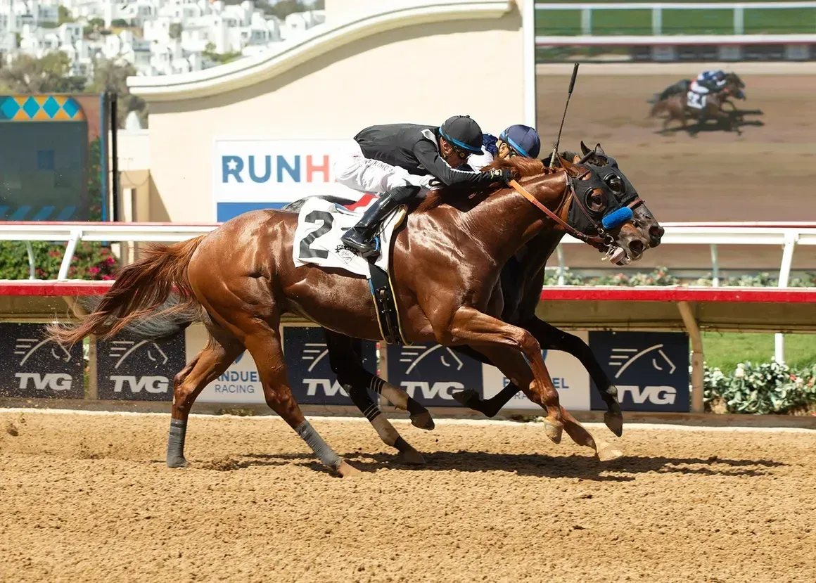 Two horses are racing on a dirt track with a tvg sign in the background
