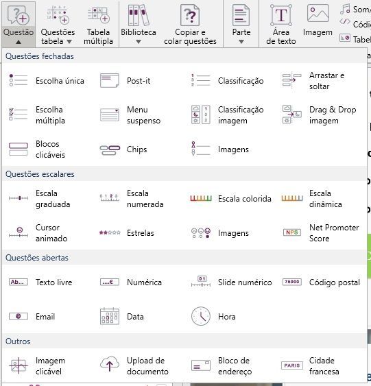 Melhor Software de Pesquisa: Etapa de criação do questionário