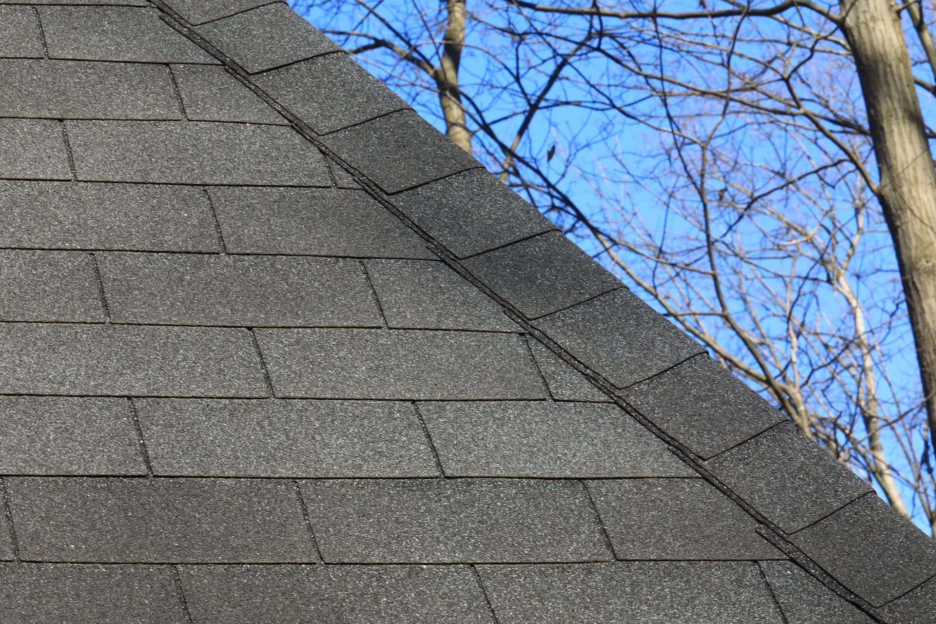 Dark gray asphalt shingle roof against a blue sky, trees in background.