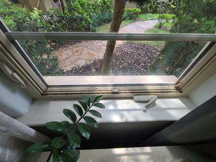 A window with a plant in front of it and a view of a garden.
