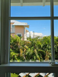 A window with a view of a house and palm trees.