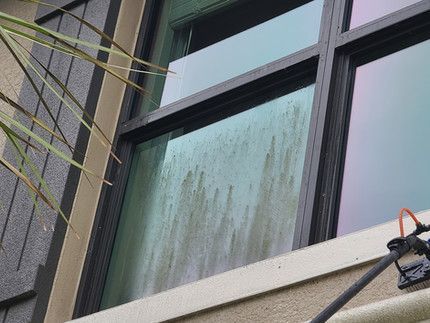 A person is cleaning a window on a building with a hose.