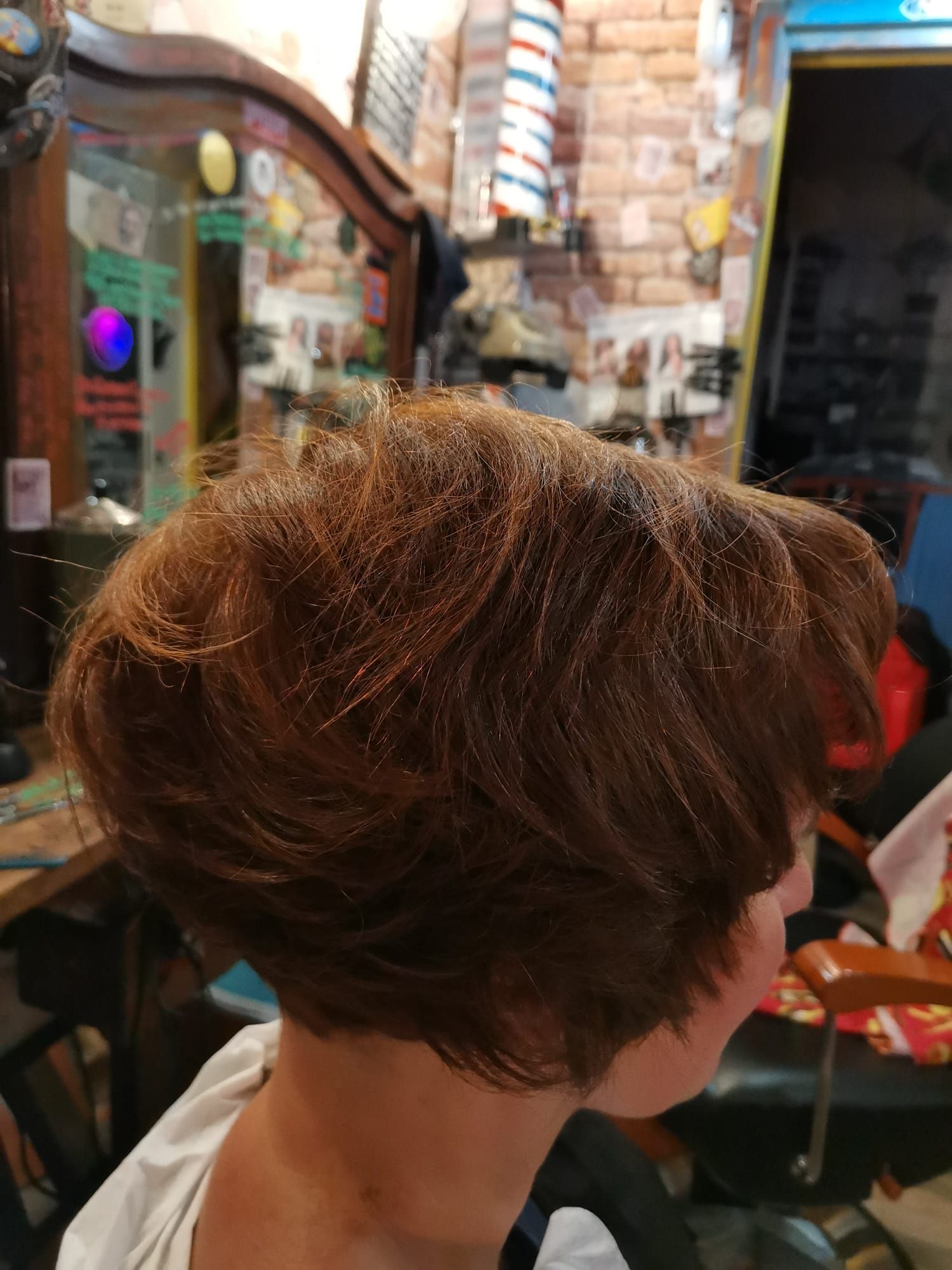 caffetteria pacini barber shop