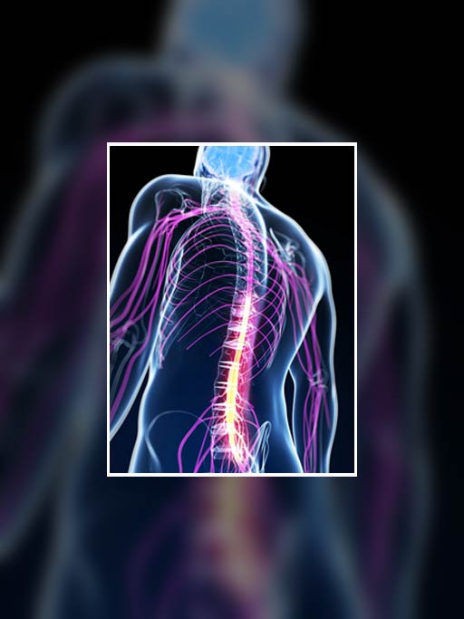 Chiropractor doing adjustment on female patient