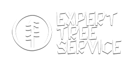 Rick's Expert Tree Service, Incin Bensalem, PA 19020 - Citysearch