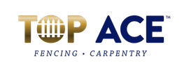 Top Ace Logo