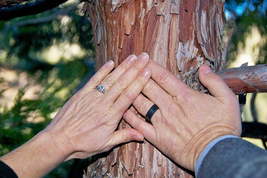 Hands with rings on a tree trunk. One person wearing a dark ring and the other a diamond ring.